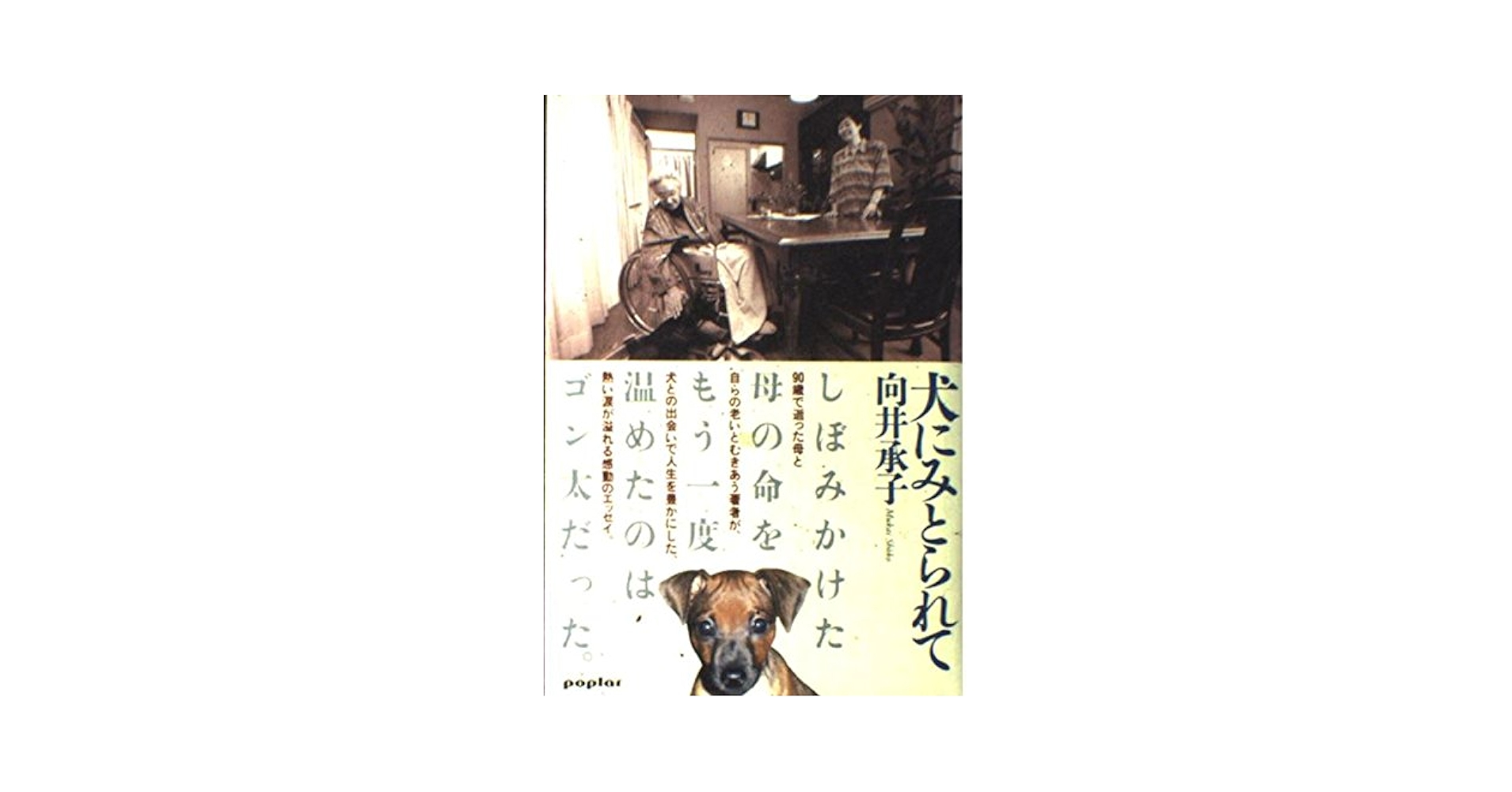 男のように考えレディのようにふるまい犬のごとく働け★デレク・A・ニュートン　絶版 Amazon.co.jp: 男のように考えレディのようにふるまい犬のごとく